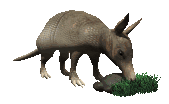Dillo2